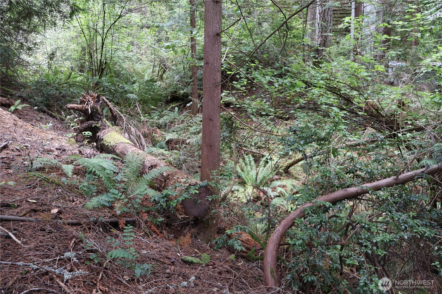 3659 Green Mountain Road Northwest Bremerton, WA 98312 - Photo 10 of 25