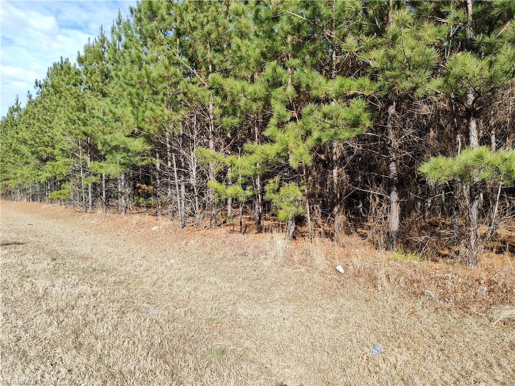 Lot 8 Windblow Road Jackson Springs, NC 27281 - Photo 1 of 1