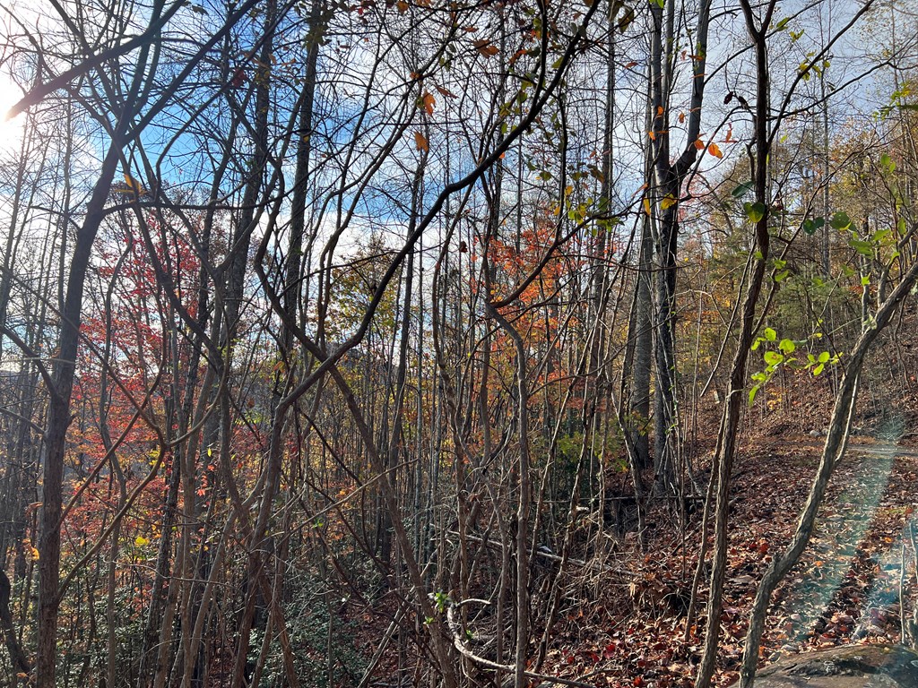 1 Hidden Summit Road Hiawassee, GA 30546 - Photo 11 of 16