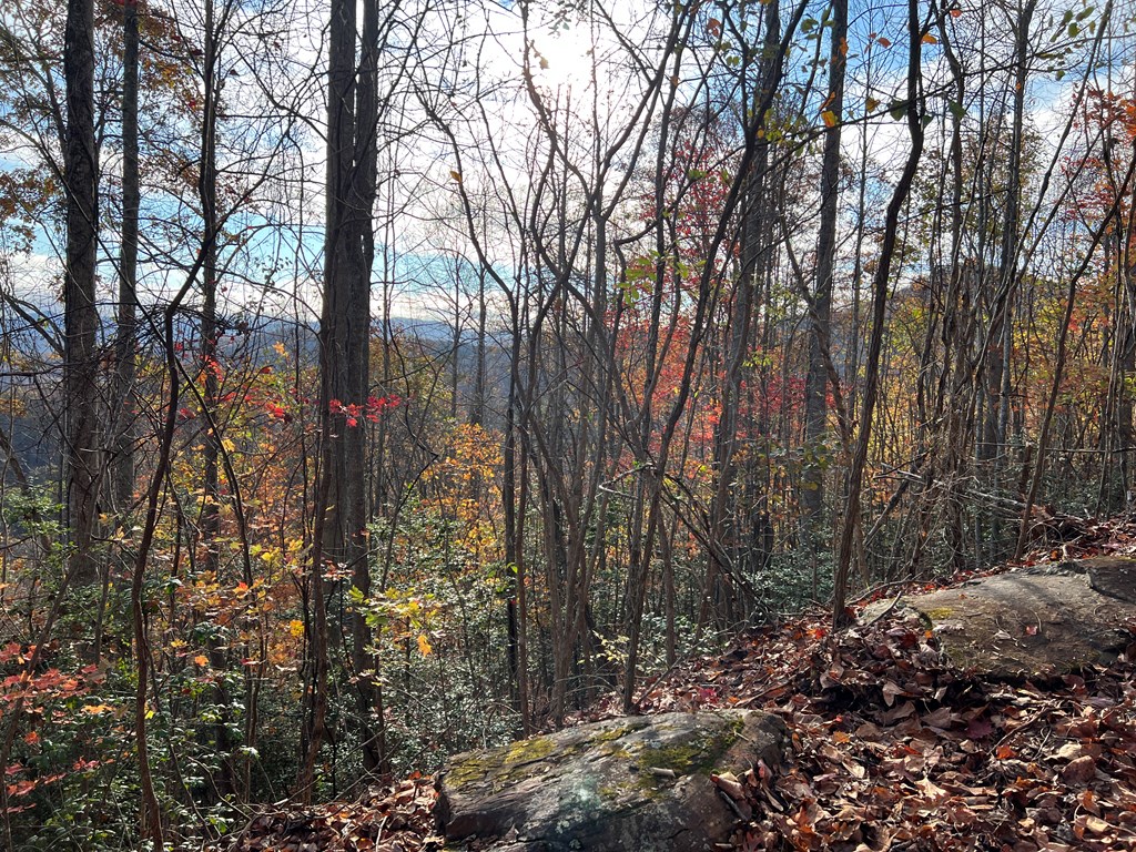 1 Hidden Summit Road Hiawassee, GA 30546 - Photo 12 of 16