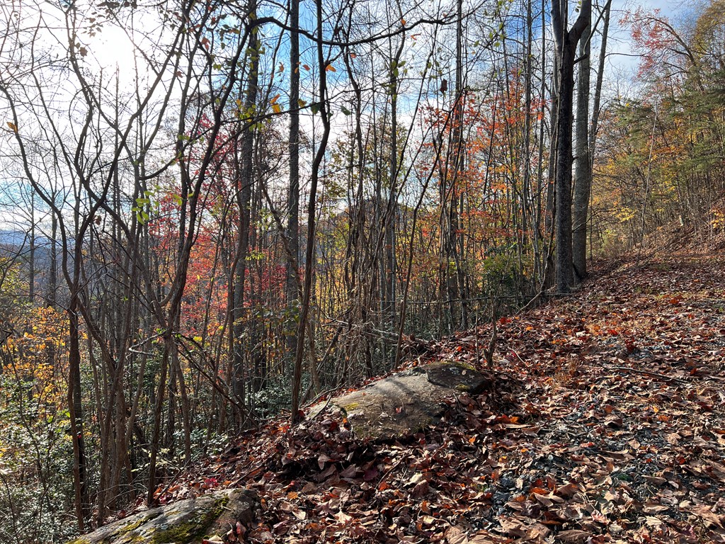 1 Hidden Summit Road Hiawassee, GA 30546 - Photo 13 of 16