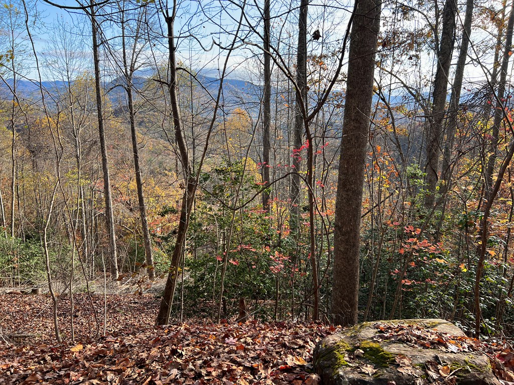 1 Hidden Summit Road Hiawassee, GA 30546 - Photo 15 of 16