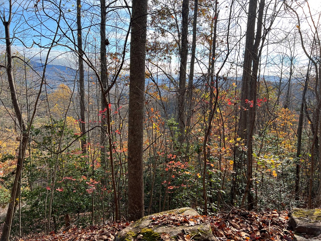 1 Hidden Summit Road Hiawassee, GA 30546 - Photo 16 of 16