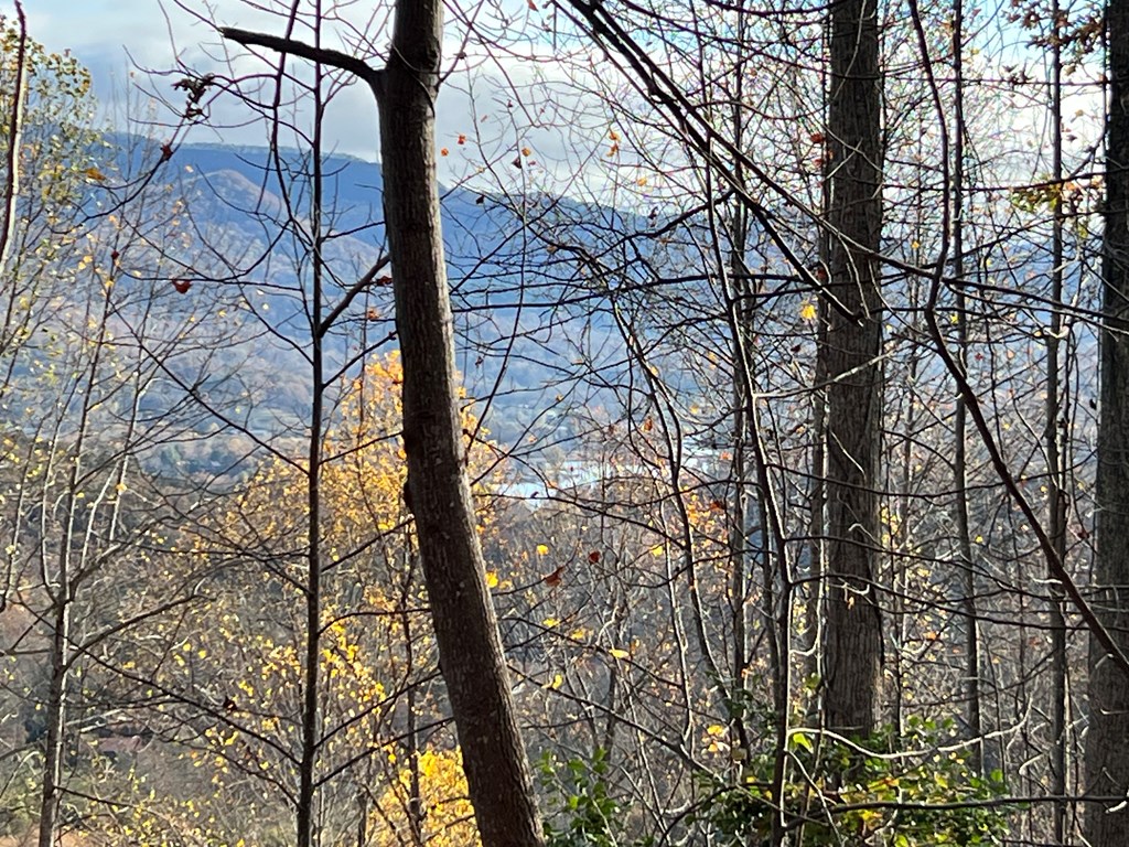 1 Hidden Summit Road Hiawassee, GA 30546 - Photo 2 of 16