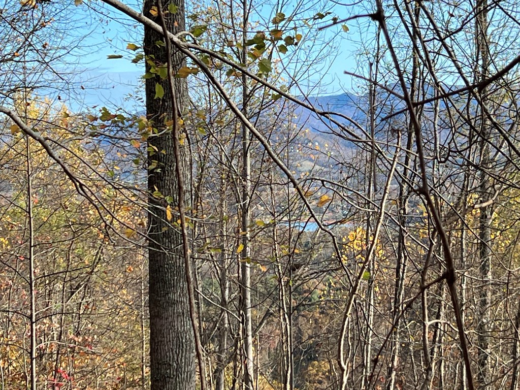 1 Hidden Summit Road Hiawassee, GA 30546 - Photo 4 of 16