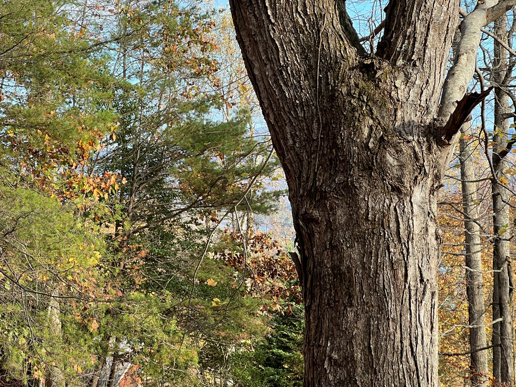 1 Hidden Summit Road Hiawassee, GA 30546 - Photo 6 of 16