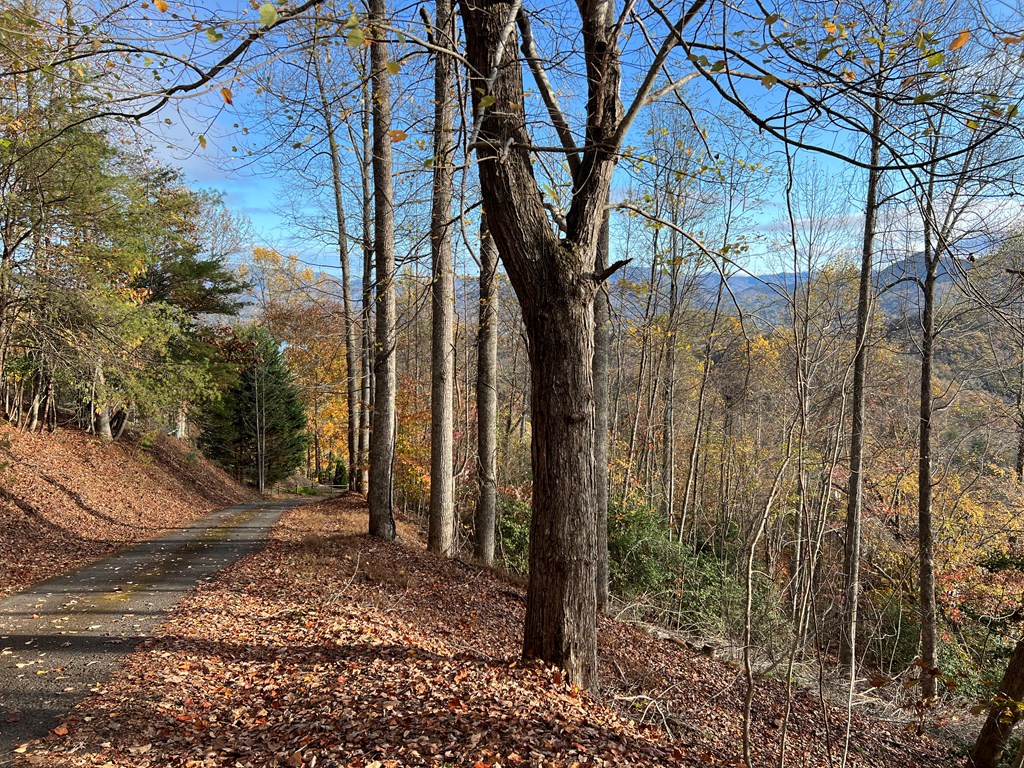 1 Hidden Summit Road Hiawassee, GA 30546 - Photo 8 of 16