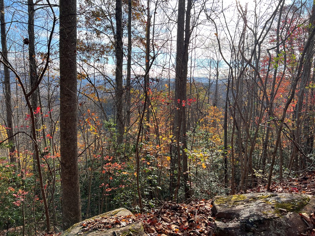 1 Hidden Summit Road Hiawassee, GA 30546 - Photo 9 of 16