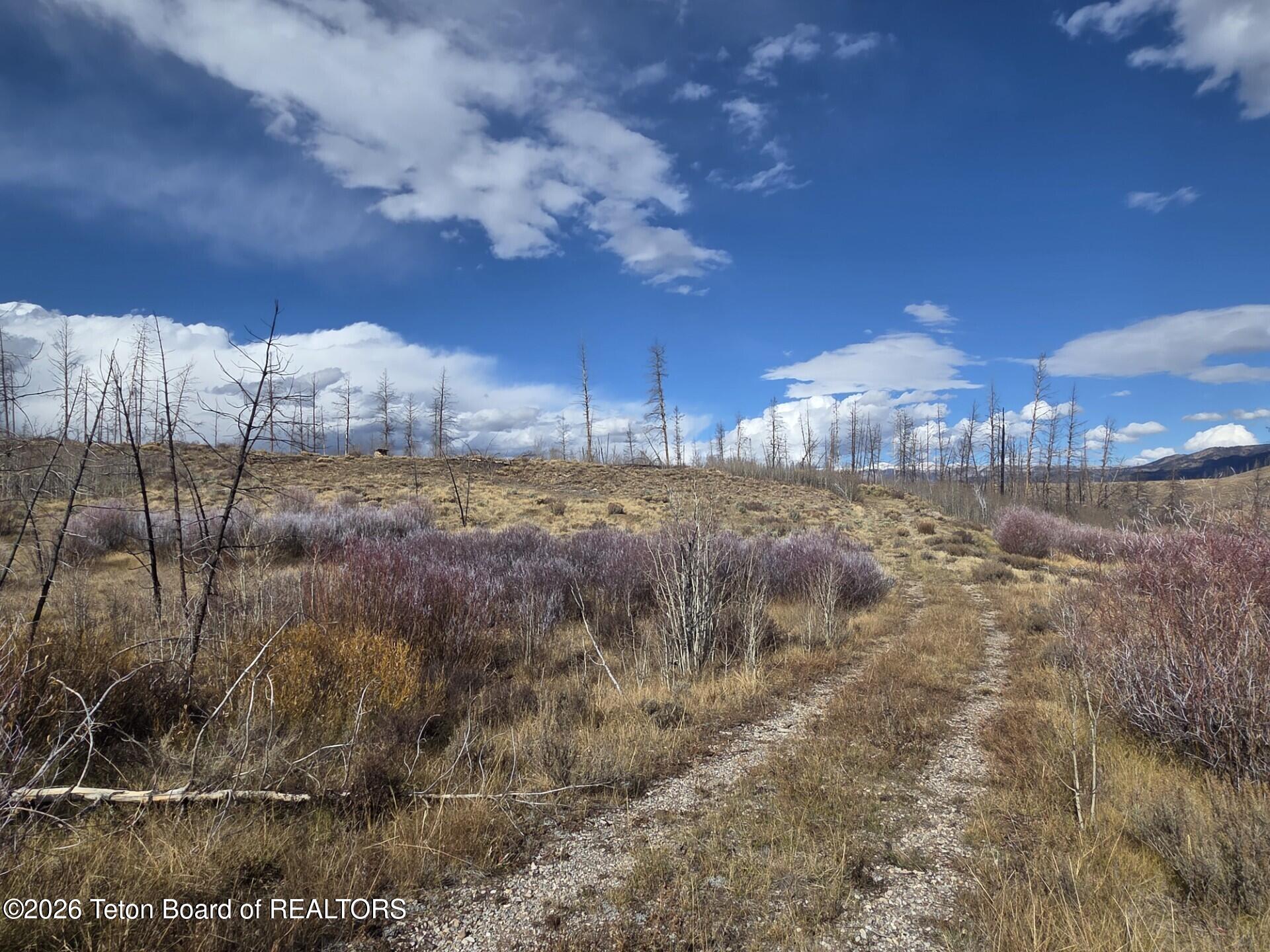 652 Rim Road Bondurant, WY 82922 - Photo 3 of 7 652 Rim Road