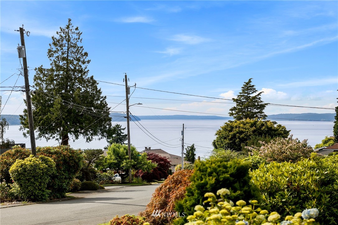 443 View Ridge Drive Everett, WA 98203 - Photo 9 of 35 a plant that is in front of flowers