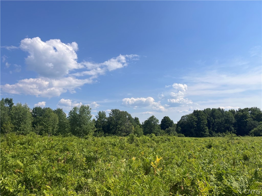 Center Road Lacona, NY 13083 - Photo 15 of 38