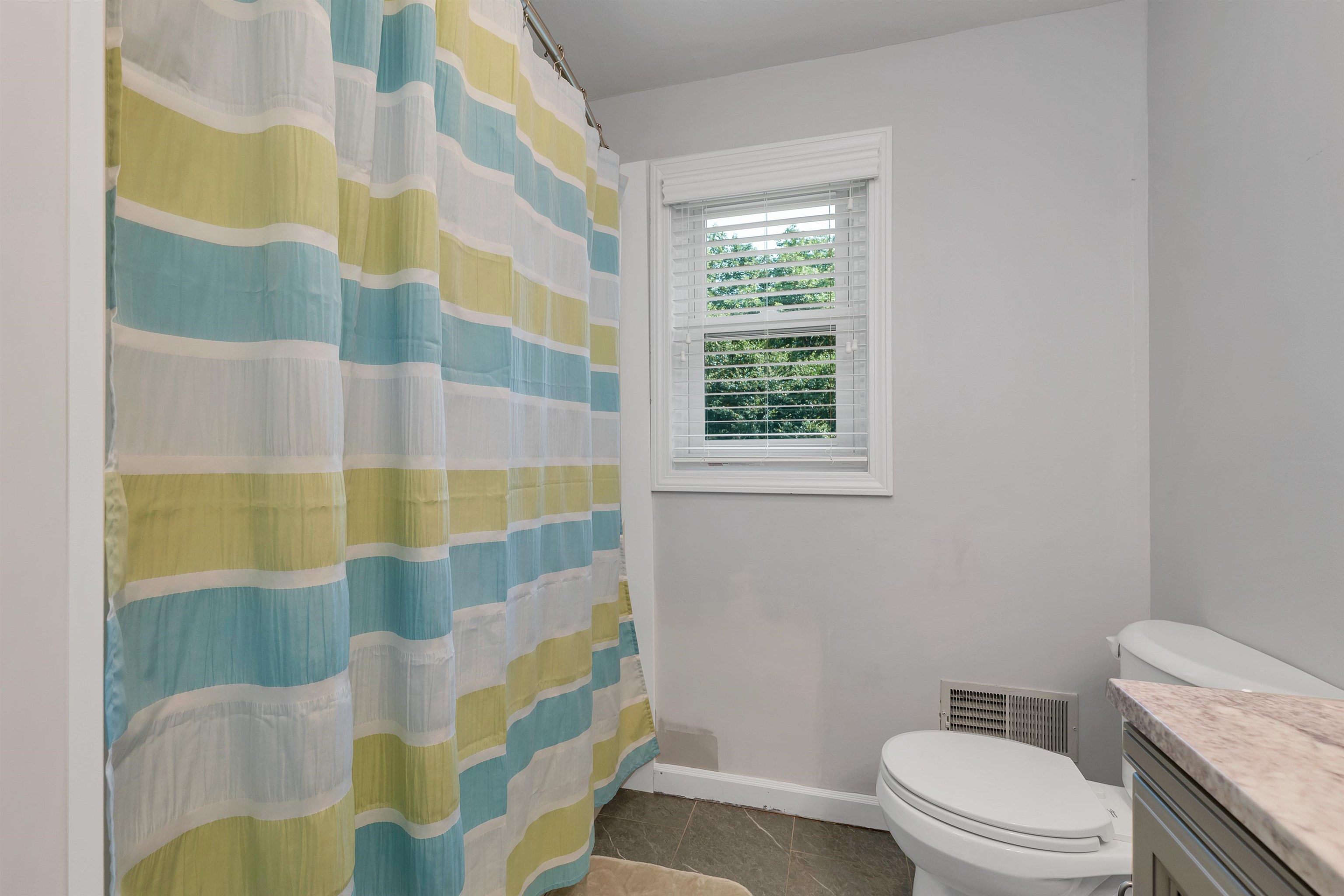 5 Sarah Lane Derry, NH 03038 - Photo 29 of 54