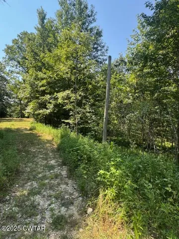 a view of a yard with a tree