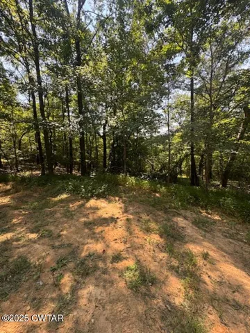 a view of a yard with trees