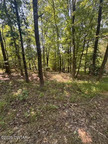 a big yard with lots of green space and trees