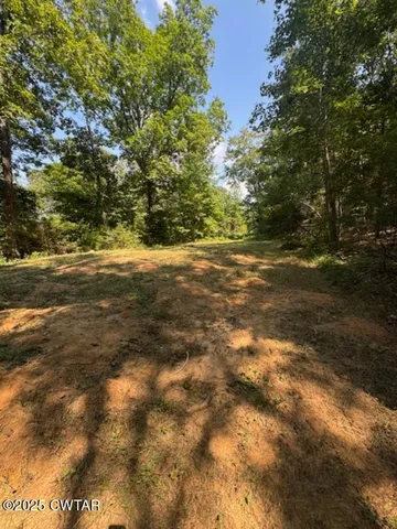 a view of a field with an trees in the background