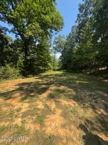a view of a yard with a tree