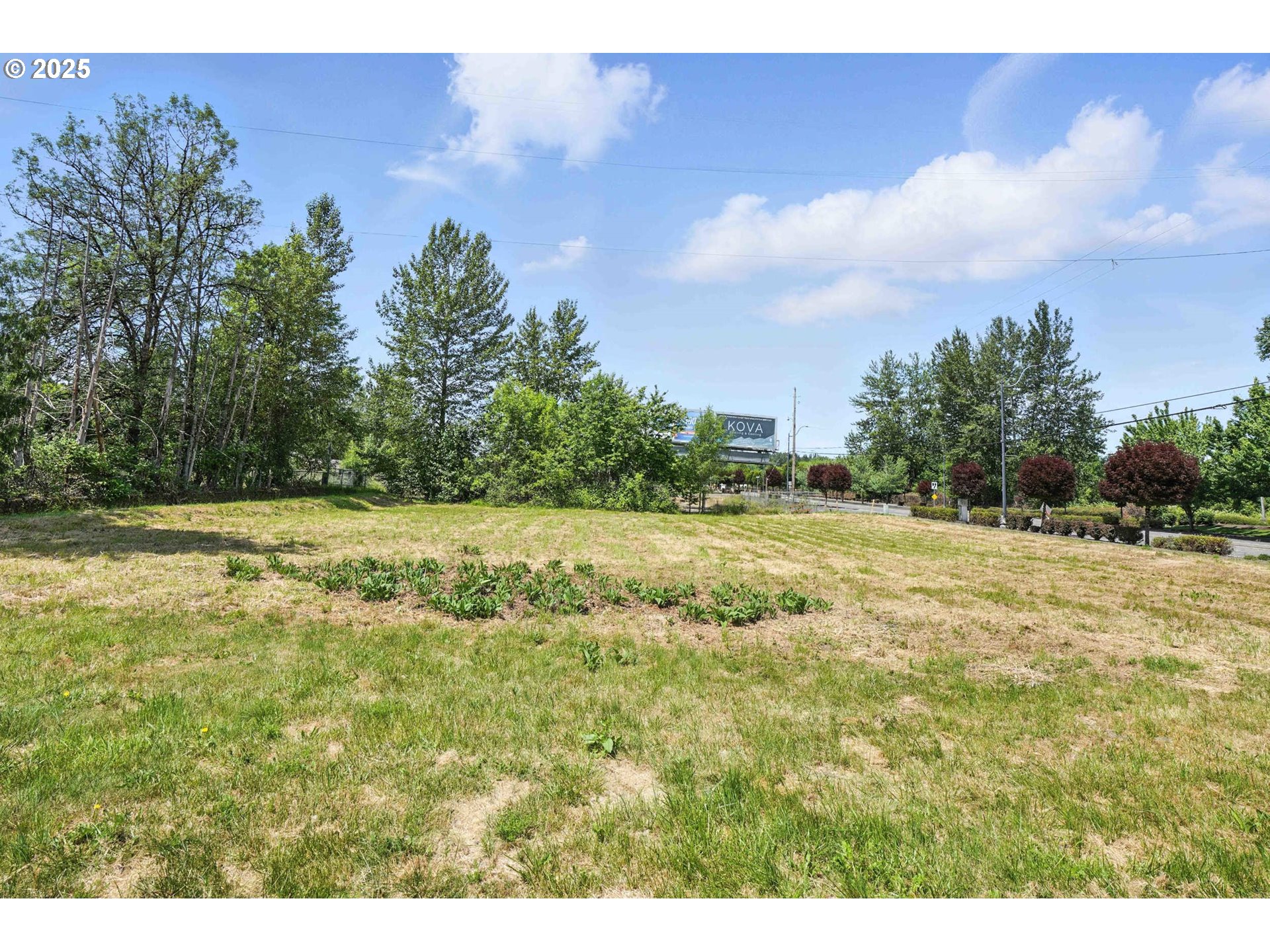 West Main Street Battle Ground, WA 98604 - Photo 2 of 16 a view of a yard with an trees