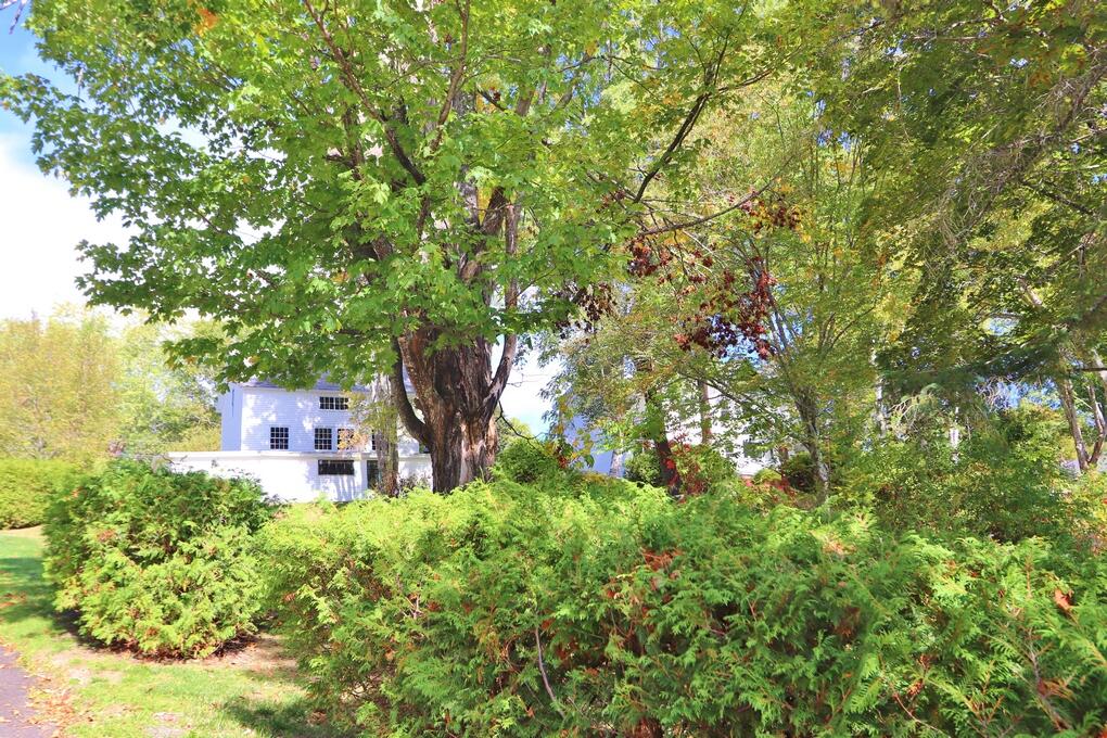 59 Summer Street Hampden, ME 04444 - Photo 93 of 99 IMG_5672 (Copy)