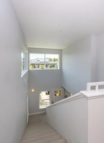 a kitchen with a sink a window and a potted plant