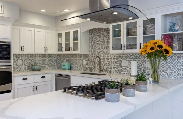 a kitchen with a potted plant on the counter
