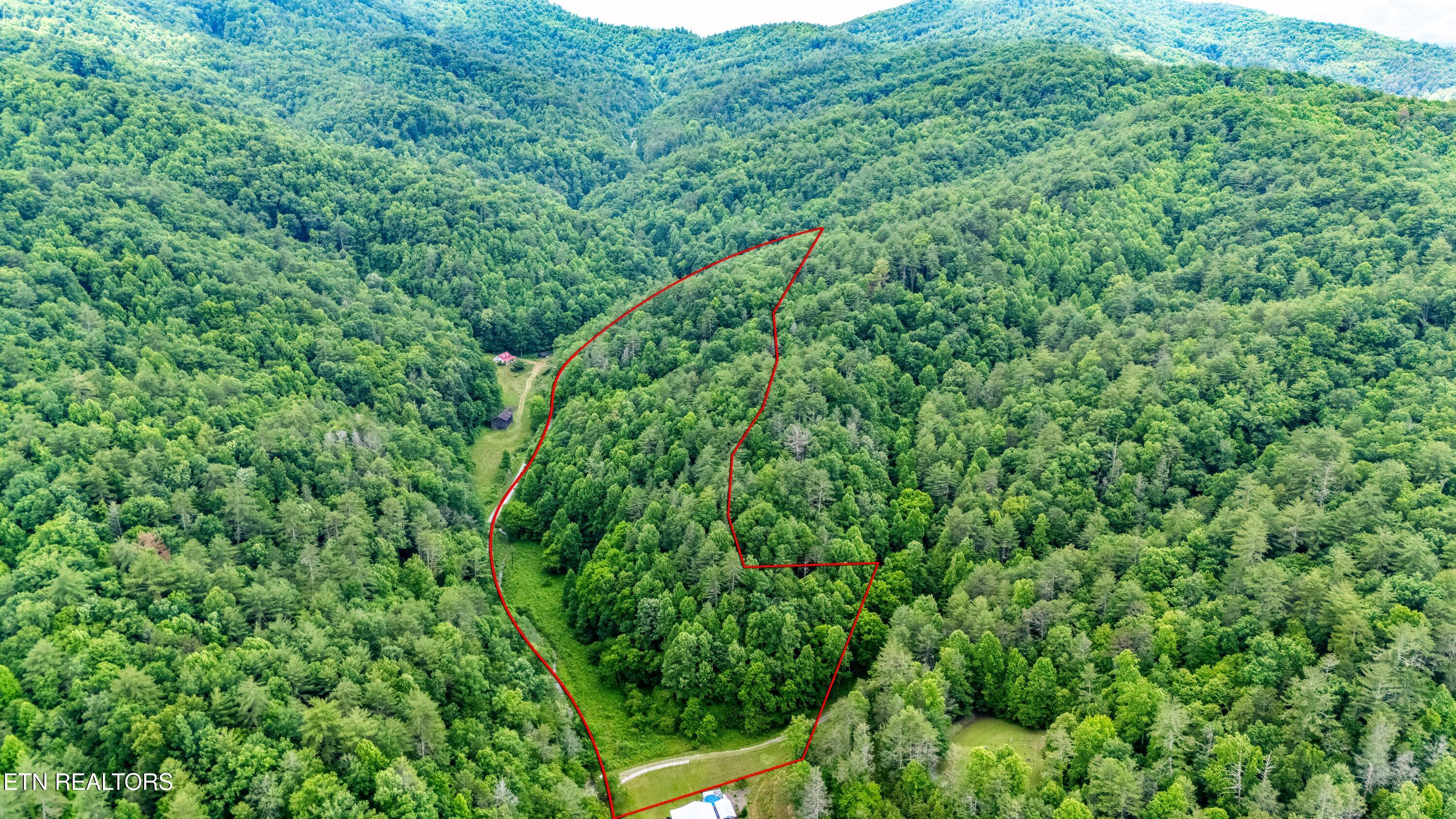 Johns Creek Road Del Rio, TN 37727 - Photo 5 of 17 DJI_20260602130756_0302_D-HDR-Edit-Edit