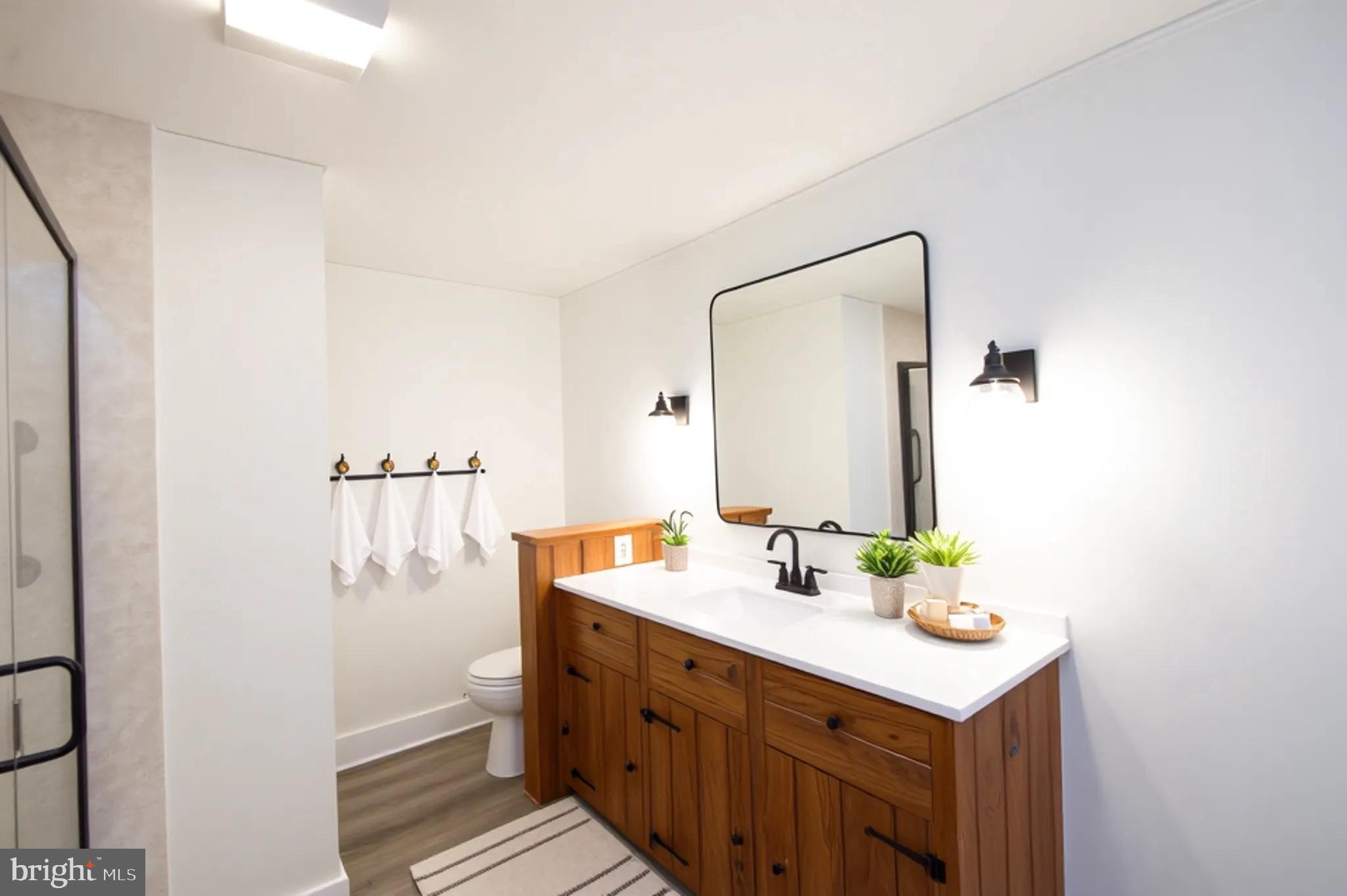 11453 Riverton Road Mardela Springs, MD 21837 - Photo 31 of 71 a bathroom with a sink and a mirror