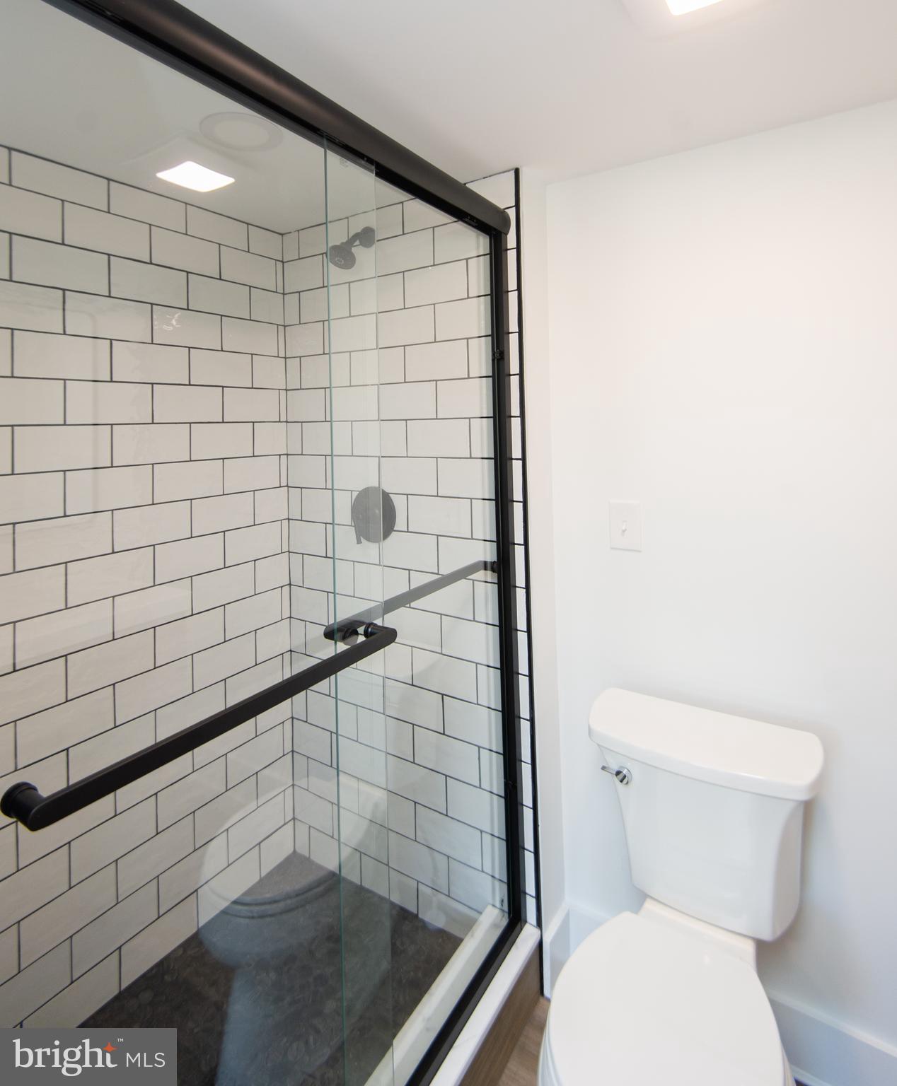 11453 Riverton Road Mardela Springs, MD 21837 - Photo 38 of 71 a bathroom with a shower and toilet