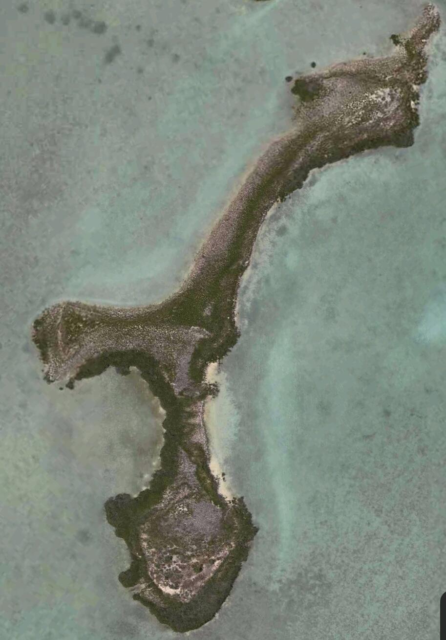 Vacant Land Key West, FL 33040 - Photo 3 of 7 a view of a plant in a bathroom