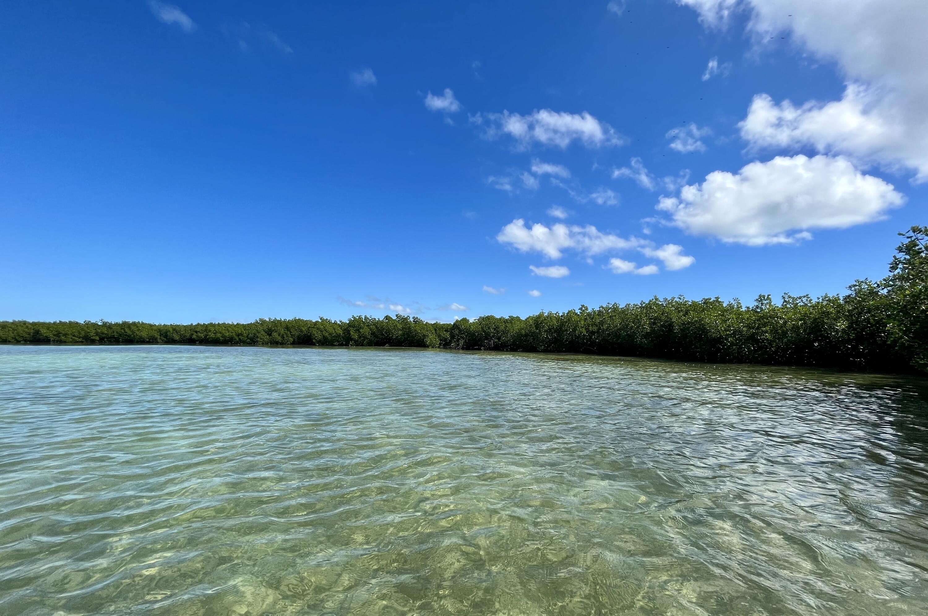 Vacant Land Key West, FL 33040 - Photo 5 of 7 a view of lake