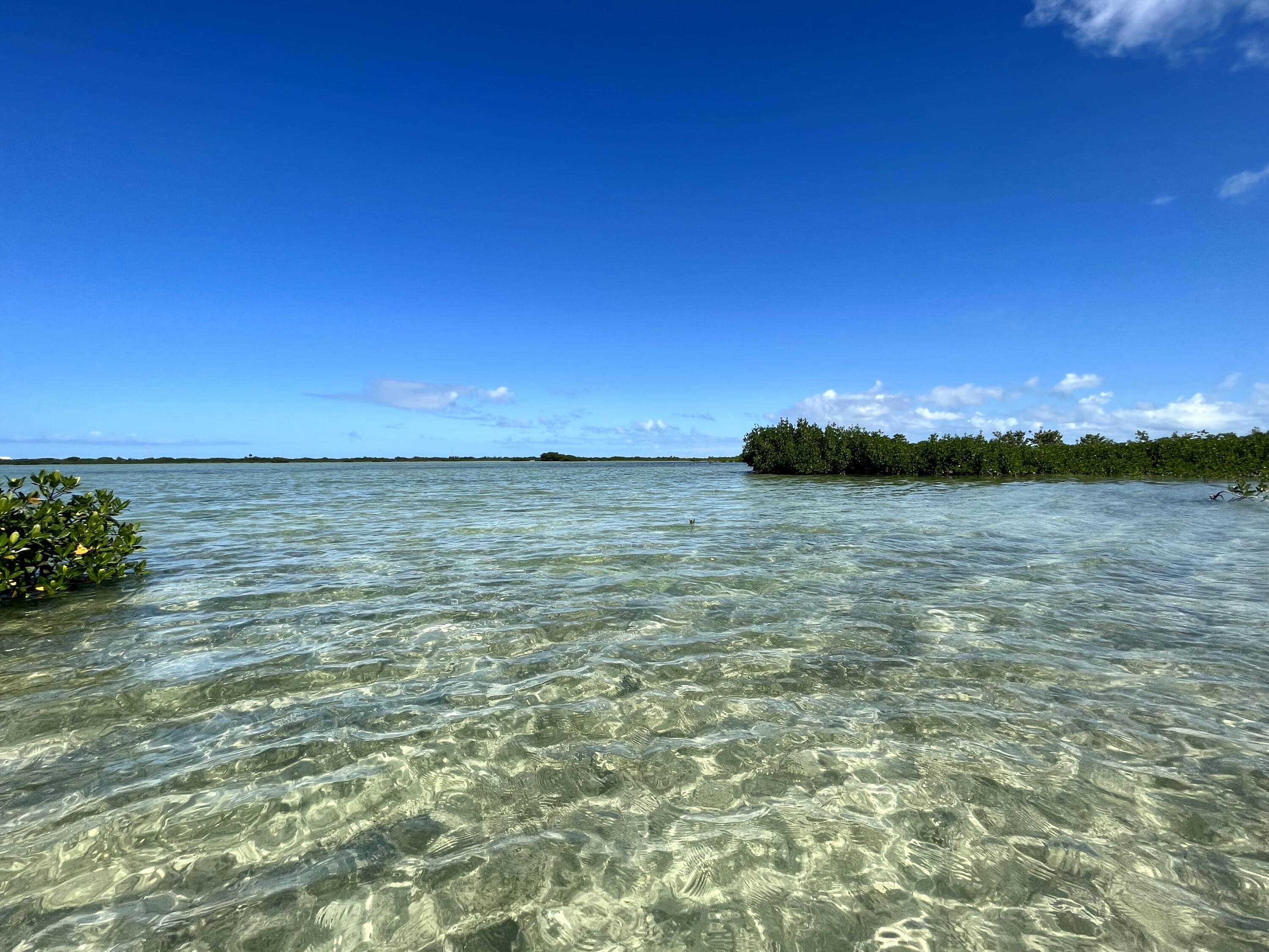 Vacant Land Key West, FL 33040 - Photo 6 of 7 a view of a lake view