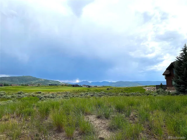 a view of a field with an ocean