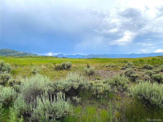 a view of a green field with plants in it