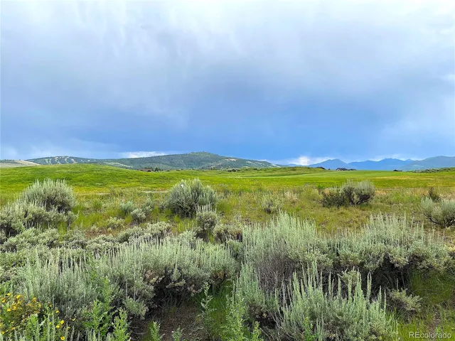 a view of a lush green outdoor space with a lake view