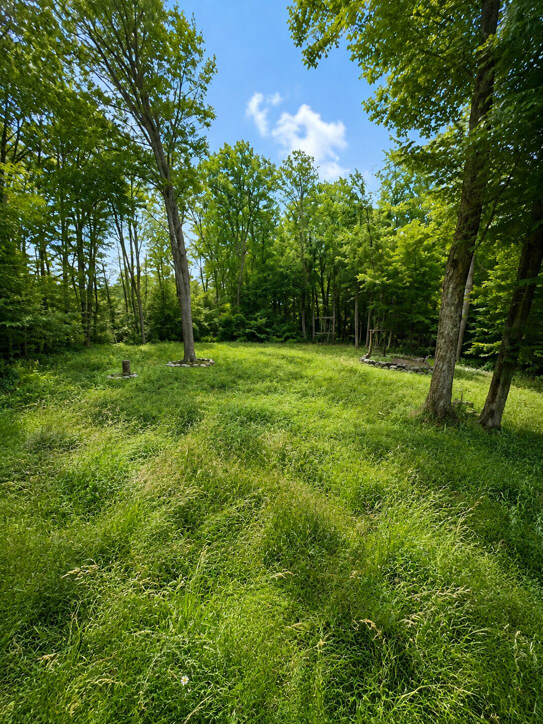 41 Convene Road Sebago, ME 04029 - Photo 3 of 18 Backyard