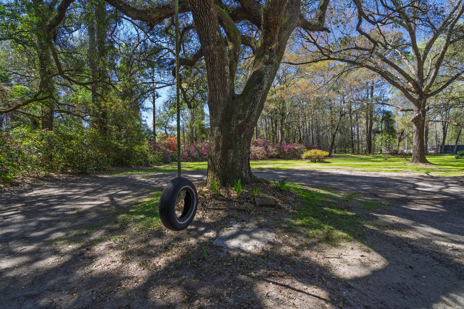6047 Highway 165 Ravenel, SC 29470 - Photo 25 of 33 untitled-34