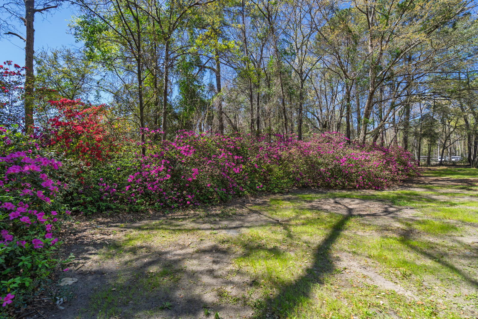 6047 Highway 165 Ravenel, SC 29470 - Photo 27 of 33 untitled-32