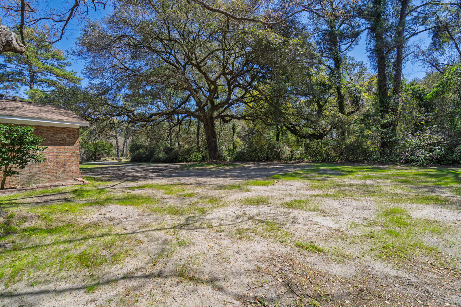 6047 Highway 165 Ravenel, SC 29470 - Photo 28 of 33 untitled-30