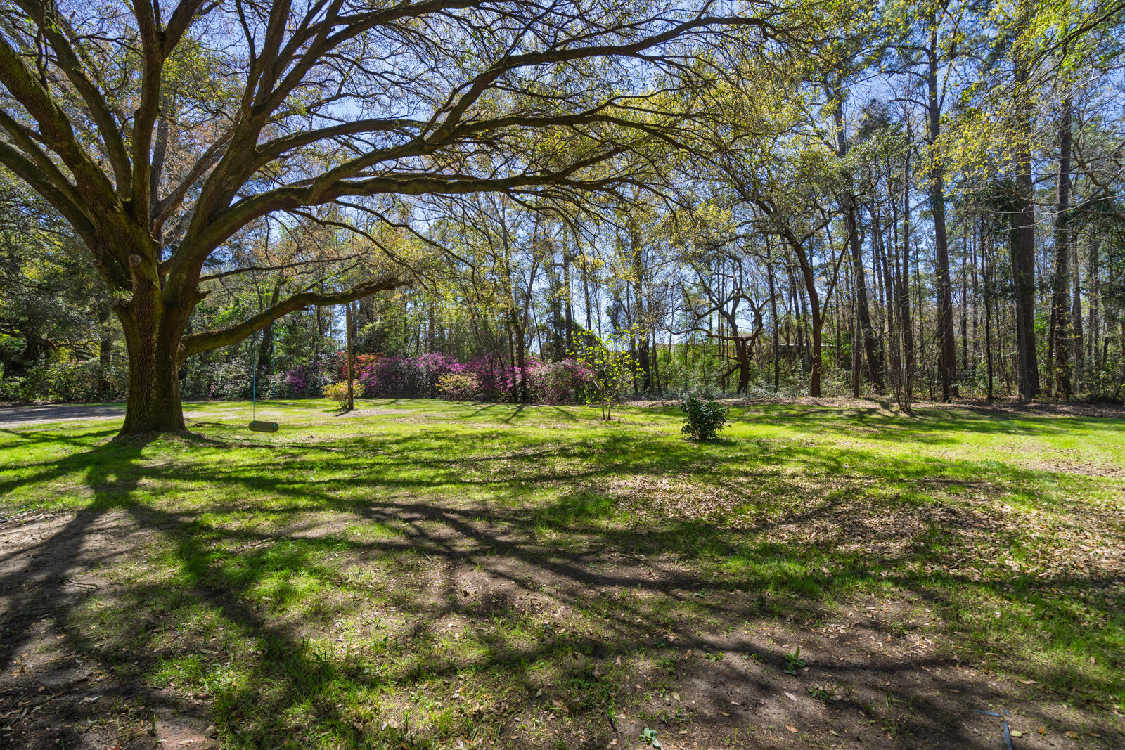 6047 Highway 165 Ravenel, SC 29470 - Photo 30 of 33 untitled-27