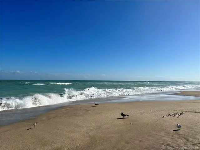 a view of beach and ocean