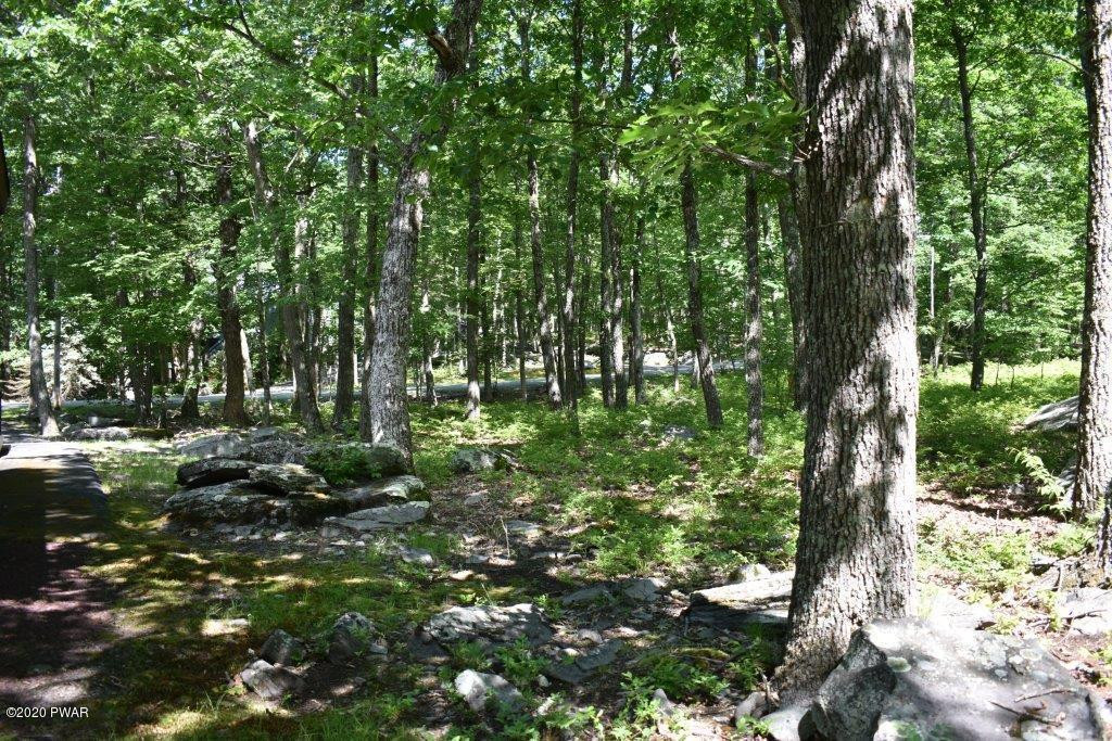 117 Ridge Road Hawley, PA 18428 - Photo 29 of 63 DSC_0091