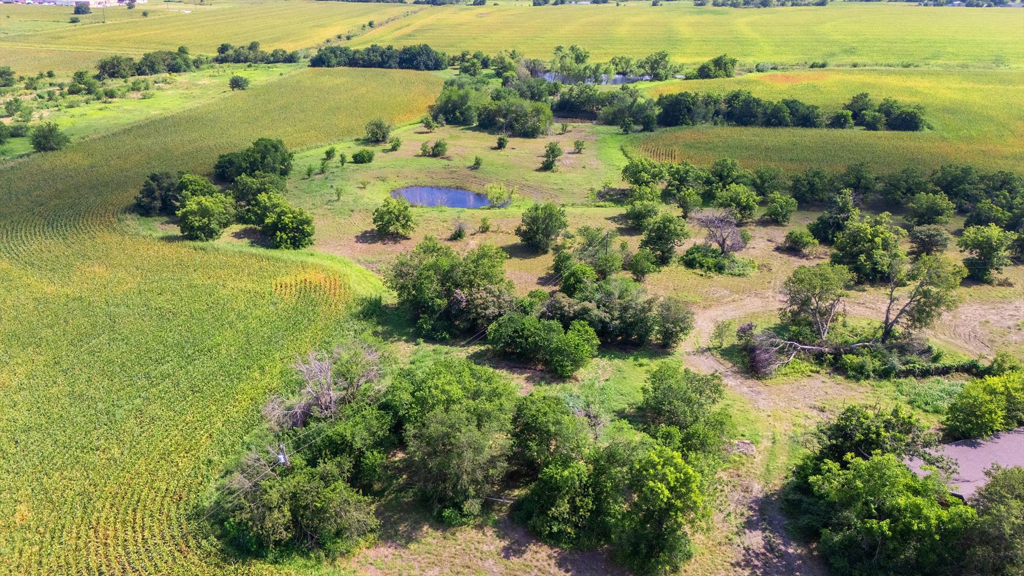 14201 Lund - Carlson Road Coupland, TX 78615 - Photo 15 of 40 Cultivated fields surround a tranquil pond, perfect for an agricultural enterprise.