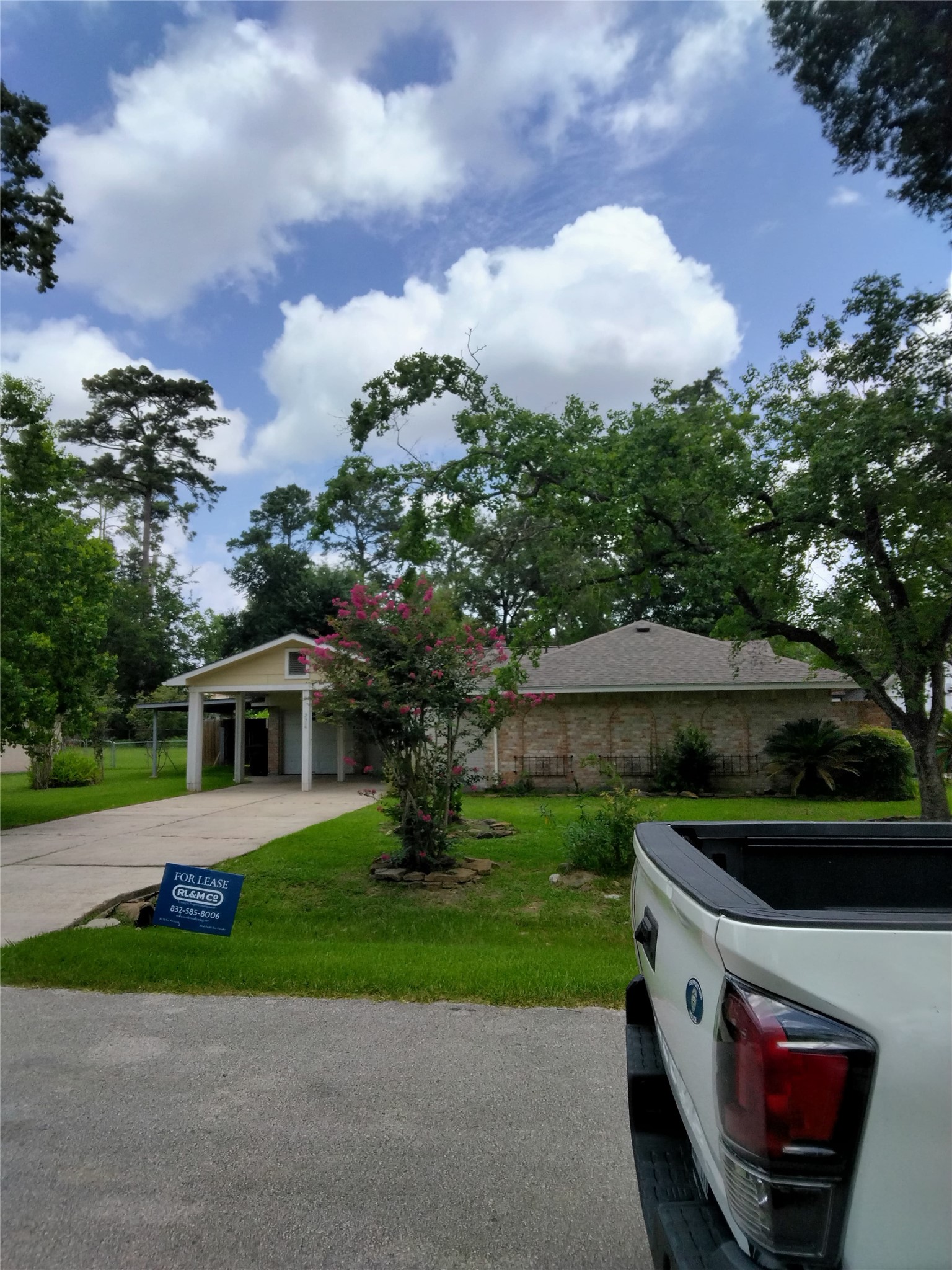 3414 Bristlecone Trail Spring, TX 77380 - Photo 2 of 14