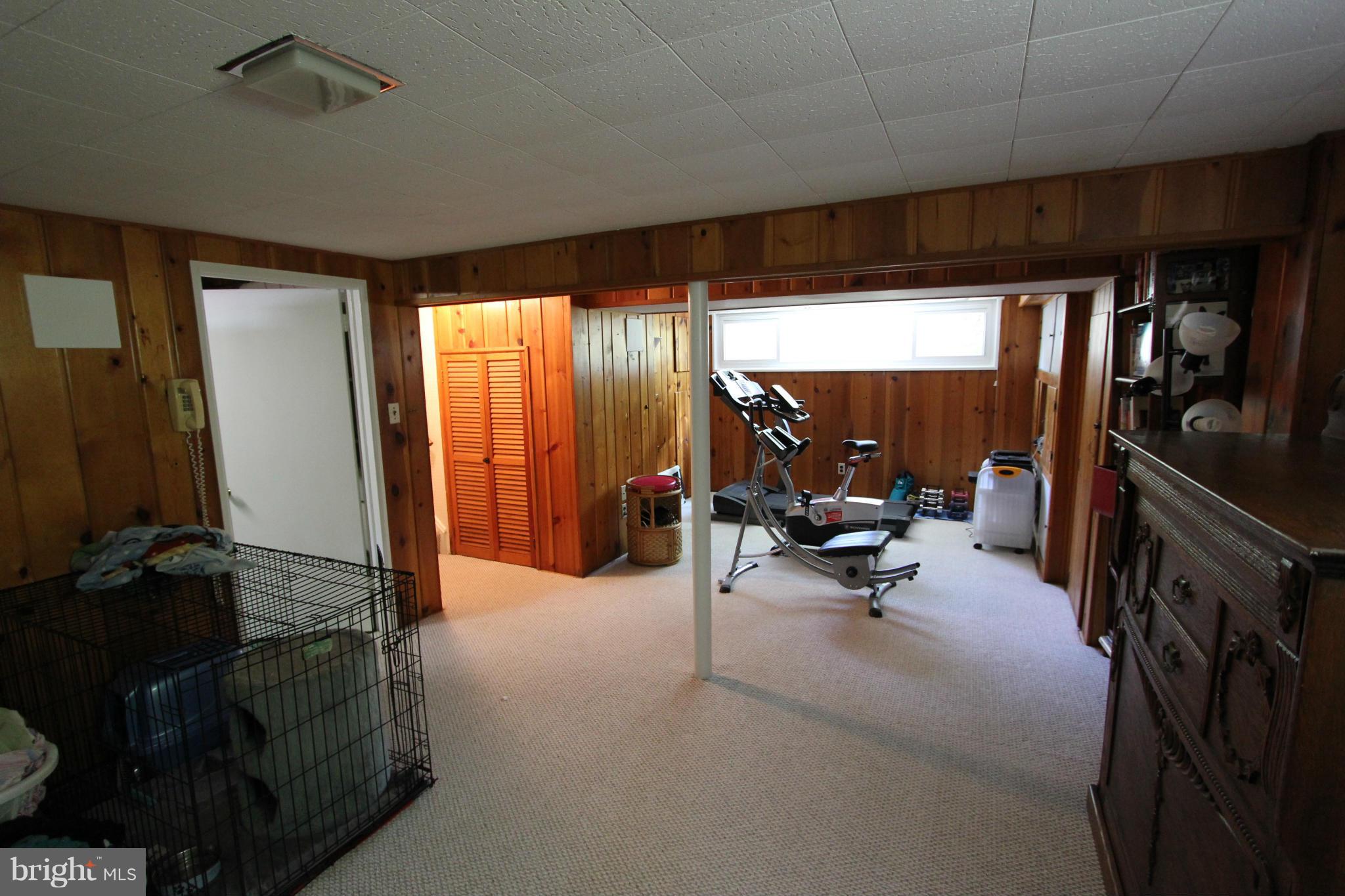 8914 Battery Road Alexandria, VA 22308 - Photo 22 of 30 Basement