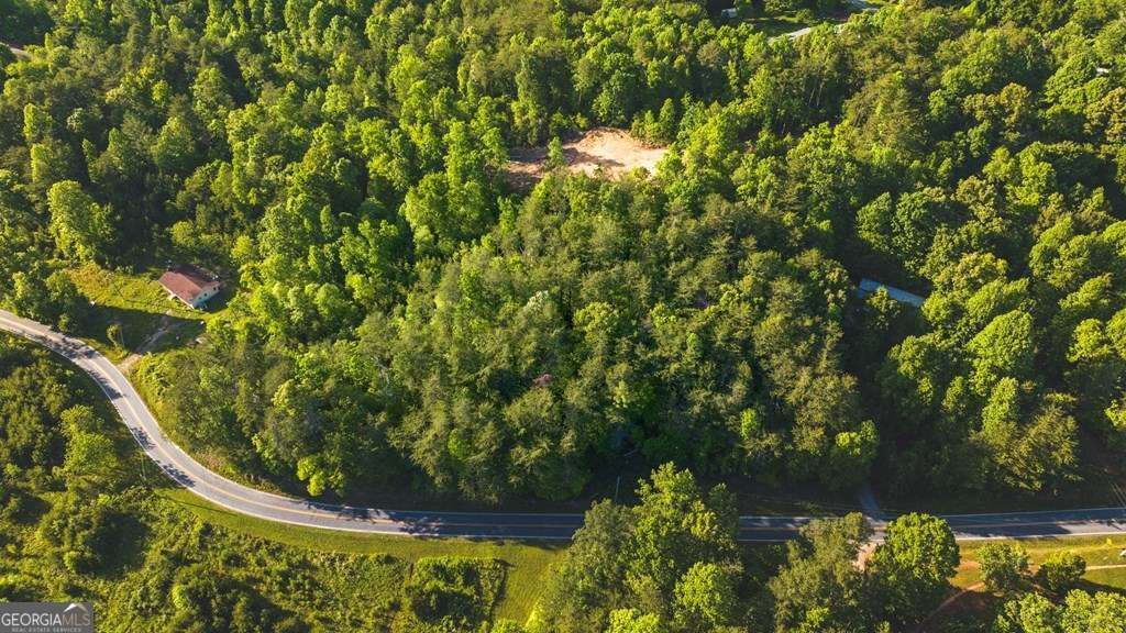 3 West Gum Log Road Warne, NC 28909 - Photo 2 of 14
