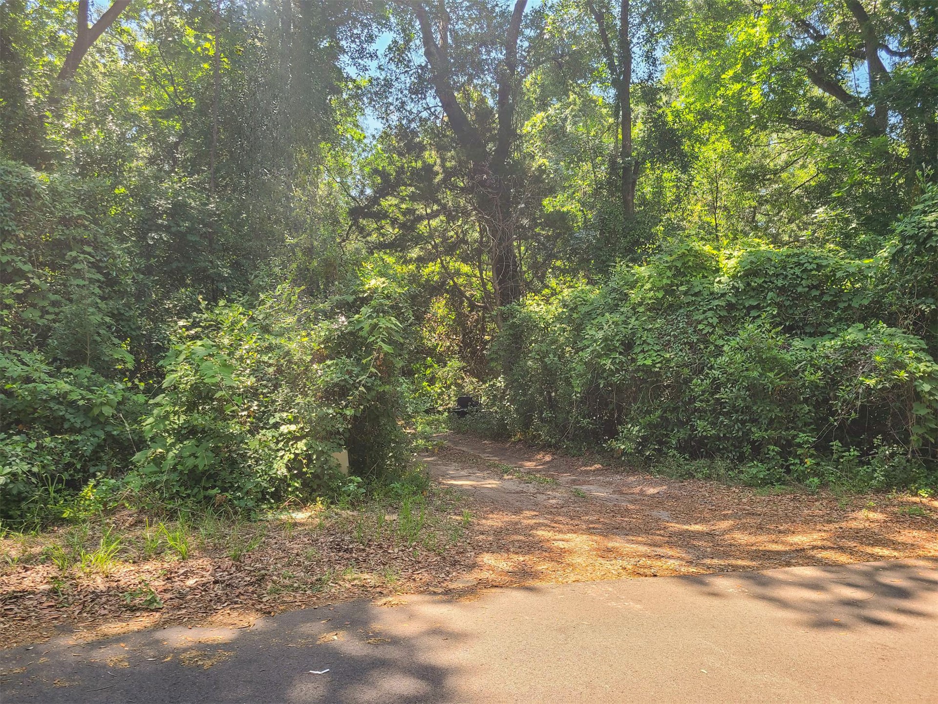 0 Amelia Circle Fernandina Beach, FL 32034 - Photo 2 of 3