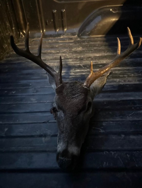 101 El Toro Rd Spur San Diego, TX 78384 - Photo 18 of 19