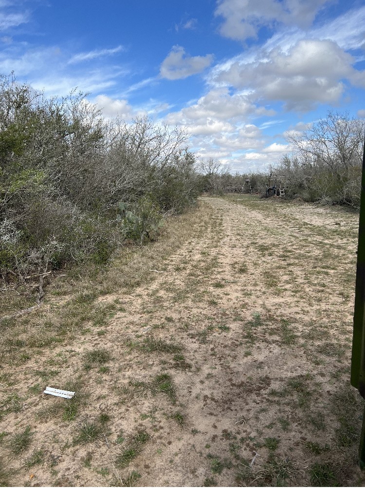 Cty Rd 101 El Toro Rd Spur 12 Alice, TX 78332 - Photo 3 of 19