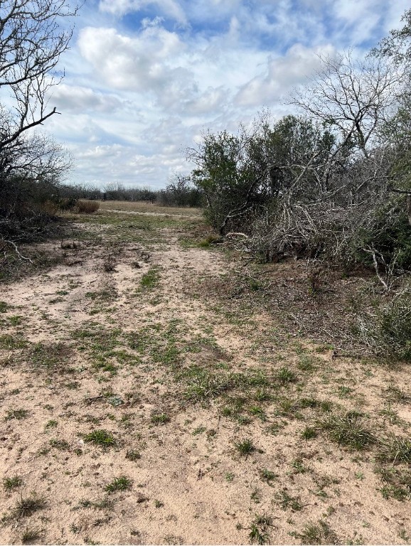 101 El Toro Rd Spur San Diego, TX 78384 - Photo 5 of 19