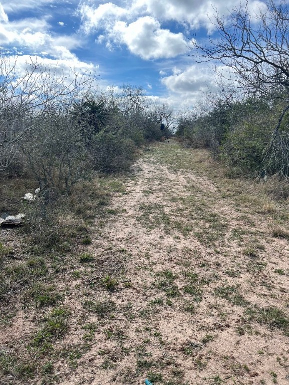 101 El Toro Rd Spur San Diego, TX 78384 - Photo 6 of 19